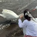 E3 ナナのプロフィール画像