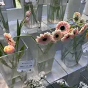 髙橋 野乃花のプロフィール画像