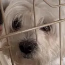 栗山 結愛のプロフィール画像