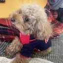 濵田 綾子のプロフィール画像