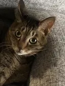 榎 純矢のプロフィール画像