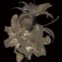 FUJIMOTO AOIのプロフィール画像