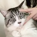 西塚 美月のプロフィール画像