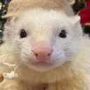 みなみ ともみのプロフィール画像