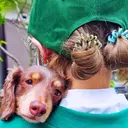 コバヤシ ヒナのプロフィール画像