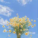 平塚 美月のプロフィール画像