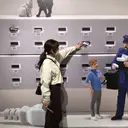 ナチュラル🪽透明感 艶カラー/吉塚樋口のプロフィール画像