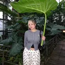 ROMEO  京橋店 藤井 碧羽のプロフィール画像