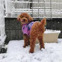 Eye＊freya ＊Kayoのプロフィール画像