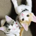 misun_ nailのプロフィール画像