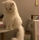 earth小山店 𝙍𝙖𝙣のプロフィール画像