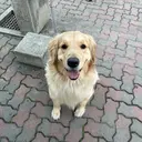 金森 悠大のプロフィール画像