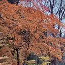 小島 亜優のプロフィール画像