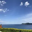 篠ヶ澤 智美のプロフィール画像