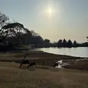 YU-SEN三宮店 村上のプロフィール画像