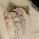 jessica 田中🎀のプロフィール画像