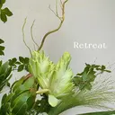 歯科医院提携 Retreatのプロフィール画像