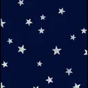 【大通 まつパ】 amii.柴田のプロフィール画像