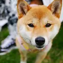 リ ミのプロフィール画像