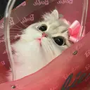 🎀ナナ 🎀のプロフィール画像