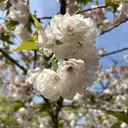 YU-SEN御座店 武内のプロフィール画像