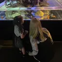 Reflet RENAのプロフィール画像