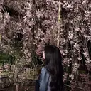 Yuria♡ Makea福岡のプロフィール画像