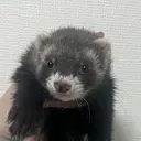 唯 月のプロフィール画像