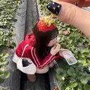 B☆STAR しらつきのプロフィール画像