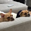 プラスアイ新宿西口 駅前店🍯HIROのプロフィール画像