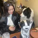 ヘアアレンジ&着付け ♡KOHARUのプロフィール画像