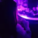 ココラッシュ 町屋店のプロフィール画像