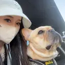 RiLion💗 Risa🦋💜のプロフィール画像