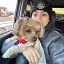 韓国🇰🇷レイヤー カットオリーブカラーのプロフィール画像