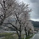 eye mor 足立のプロフィール画像
