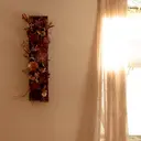 figtree hikariのプロフィール画像