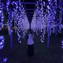 藤原 穂香のプロフィール画像