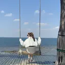 笠井 未夢のプロフィール画像