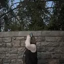 原田 まなみのプロフィール画像