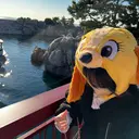 カットモデル募集 🐈‍⬛🪄˚✧ツカのプロフィール画像