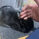 池田 悠馬のプロフィール画像