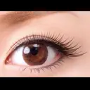 Lujua .のプロフィール画像