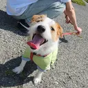   yukikoのプロフィール画像