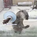 飯塚 健成のプロフィール画像