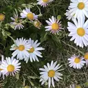 早﨑 映天のプロフィール画像