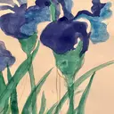 Ota Eriのプロフィール画像