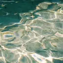 松下 愛生のプロフィール画像