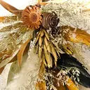 SUN FELICE サンフェリーチェのプロフィール画像