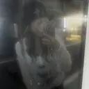 ちば ゆいのプロフィール画像