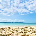 Becky Lash 🌺大澤のプロフィール画像